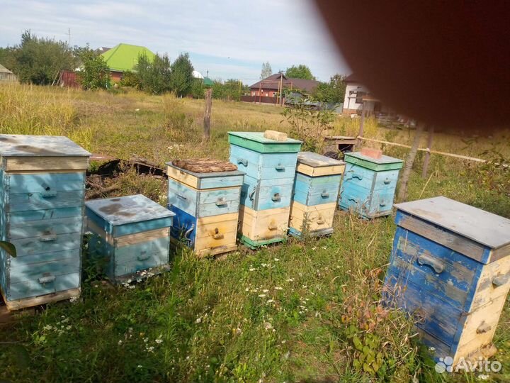 Ульи 10 штук