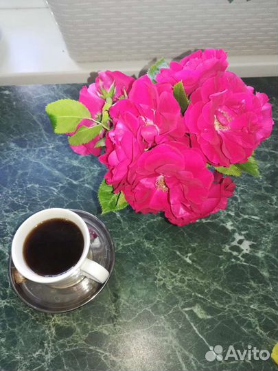 Чайный сервиз