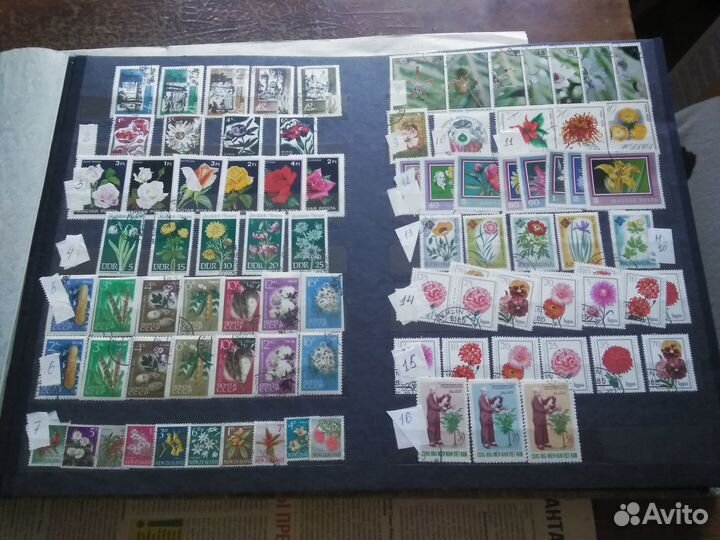 Почтовые марки. Флора 1