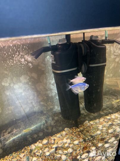 Аквариум ferplast dubai 80 led - 125 л