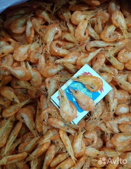 Креветка азовская