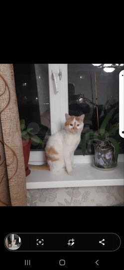 3-к. квартира, 72 м², 2/9 эт.