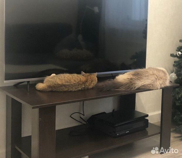 Журнальный столик