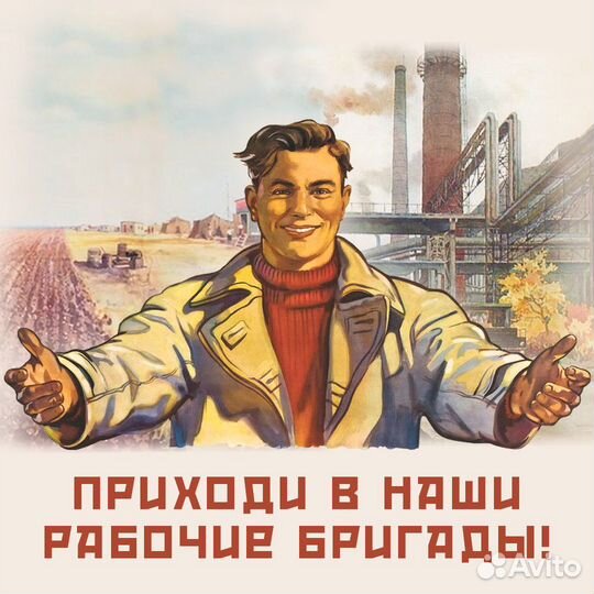 Бригады на теплицы (томат). Ежедневные выплаты