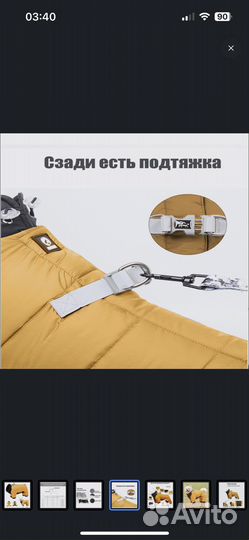 Зимняя одежда для собак