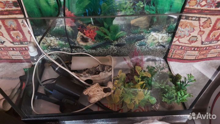 Аквариум