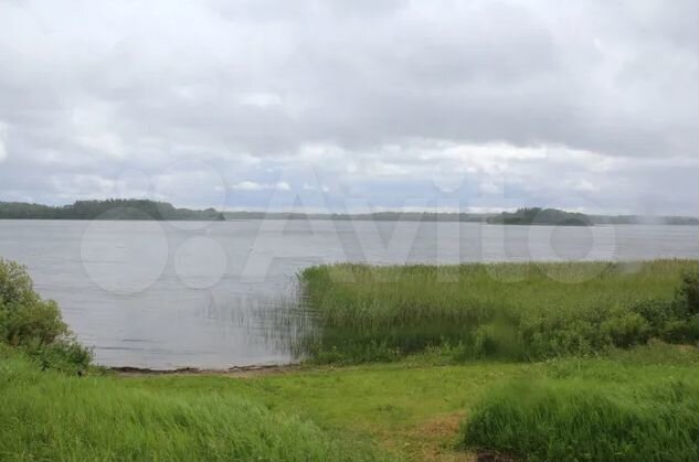 Участок 51 сот. (СНТ, ДНП)