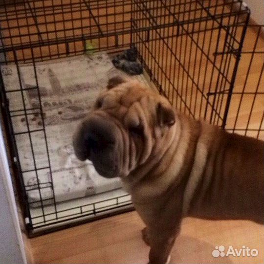 Клетка для собак