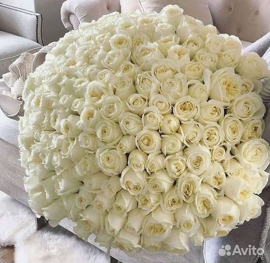 Метровые розы с доставкой