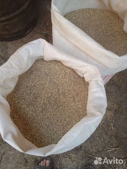 Пшеница, ячмень, дробленка