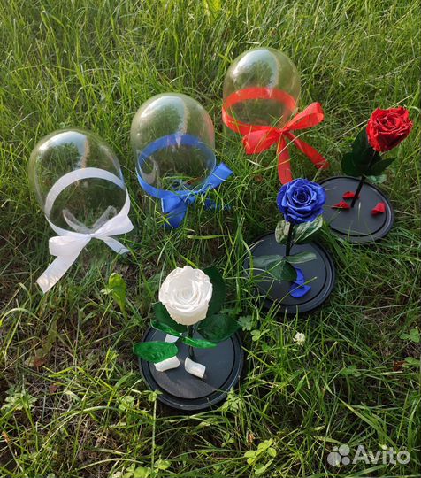 Роза в колбе