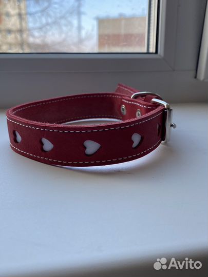 Ошейник для собак