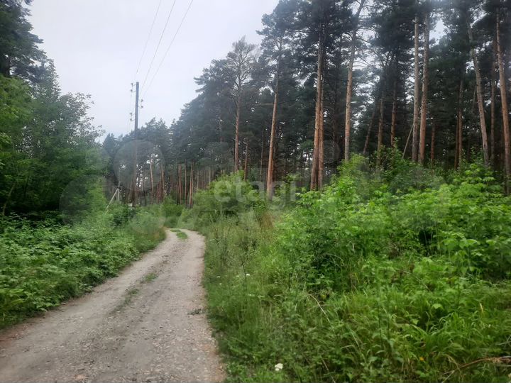 Участок 25 сот. (личное подсобное хозяйство (лпх))