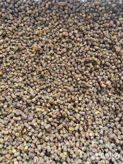 Перга пчелиная