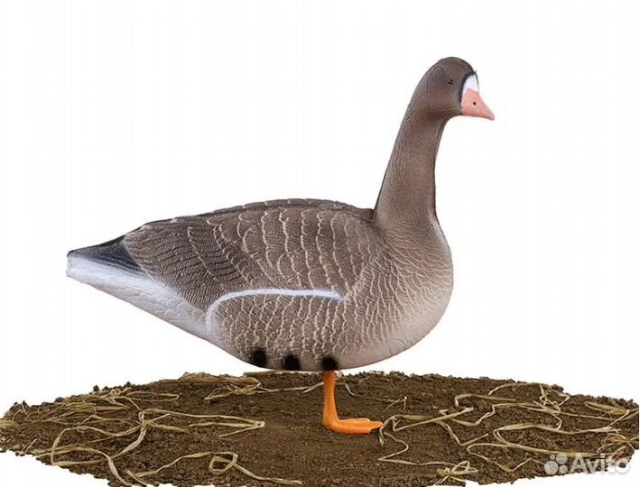 Комплект чучел белолобого гуся Buck Decoys, 10 шту