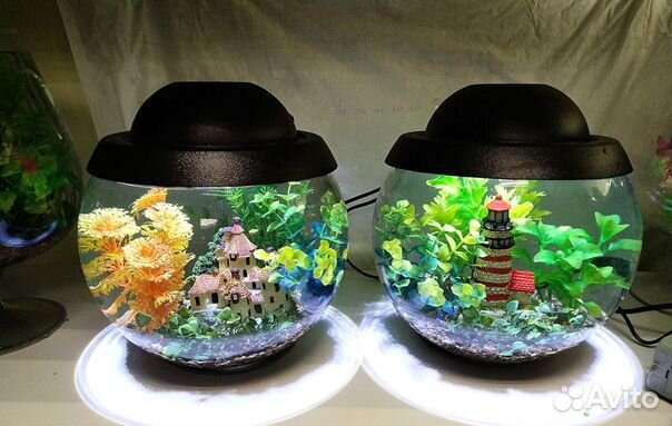 Аквариум с декором для петушка