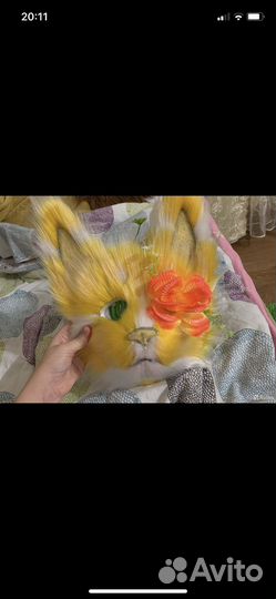 Фурсьют кота