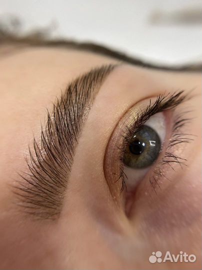 Брови /ресницы