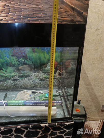 Аквариум с тумбой 250