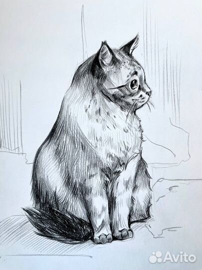 Портрет домашнего питомца по фото