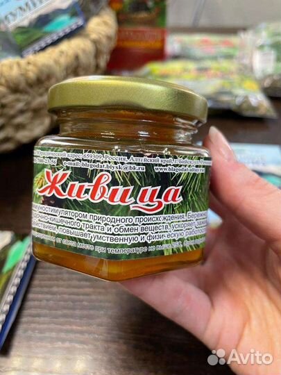 Живица кедровая