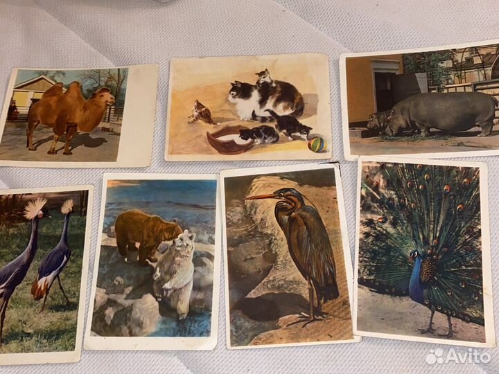 Немецкие открытки и не только