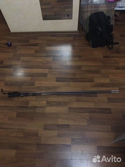 Палки лыжные (трекинговые, для сканд. ходьбы)