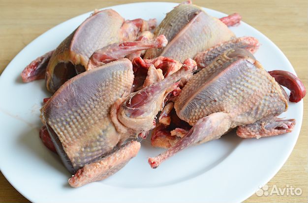 Горлицы дикие