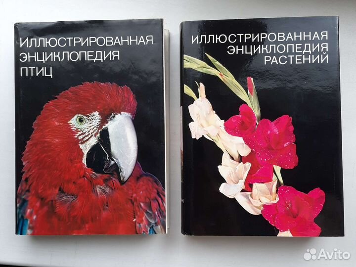 Иллюстрированная энциклопедия растений и птиц
