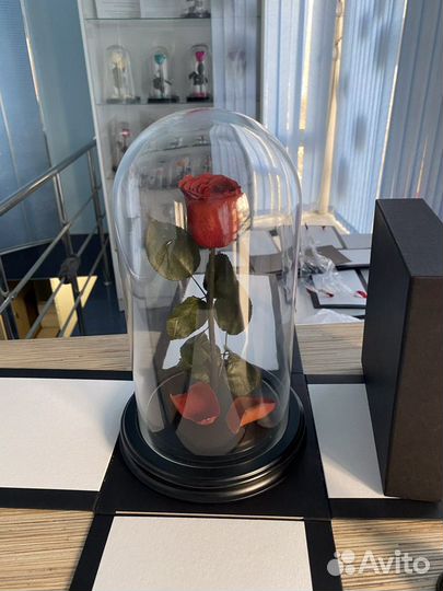 Роза в колбе на подарок, на сувенир