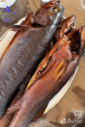 Рыба горячего копчения