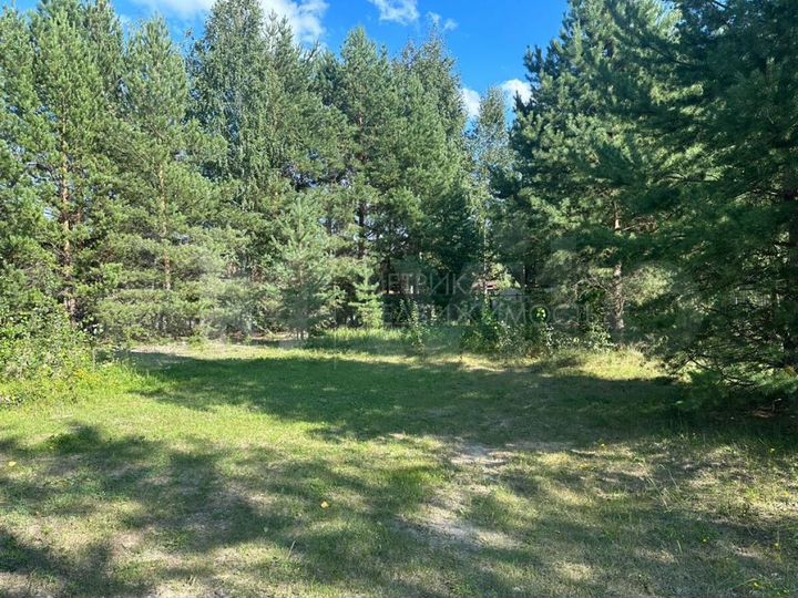 Участок 15 сот. (ИЖС)