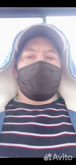 Ветеринарный врач на дом для собаки