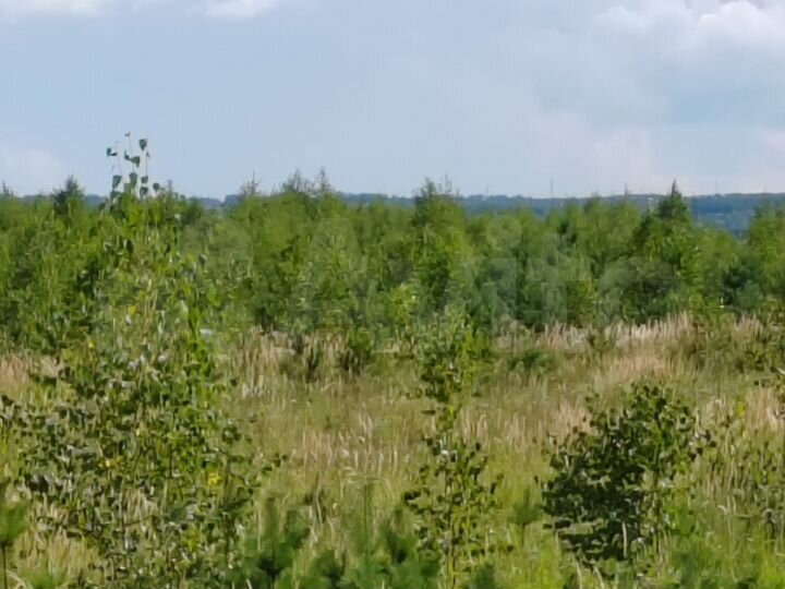 Участок 5,5 сот. (ИЖС)