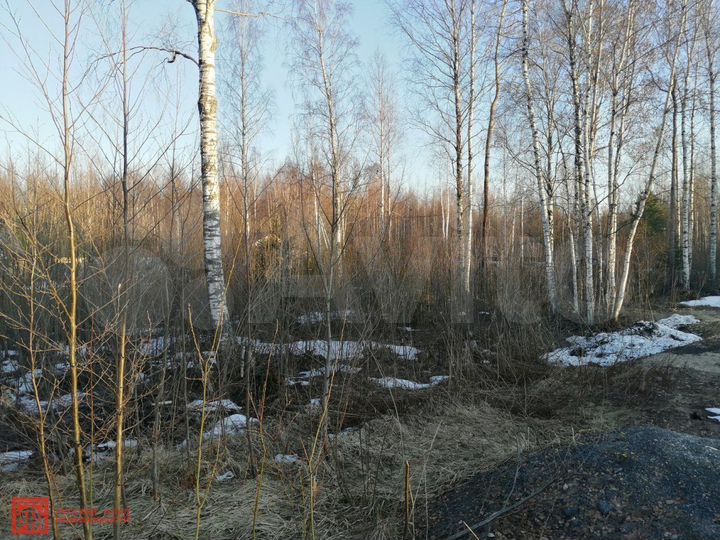 Участок 11 сот. (СНТ, ДНП)