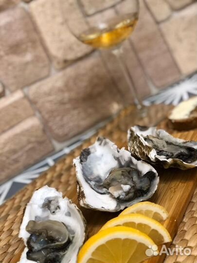 Устрица «императорская» с/м