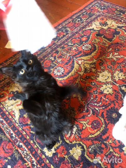 Мальчик в добрые ручки