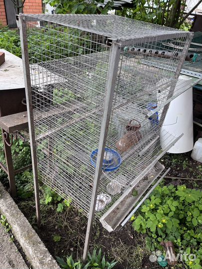 Клетка для перепелов бу