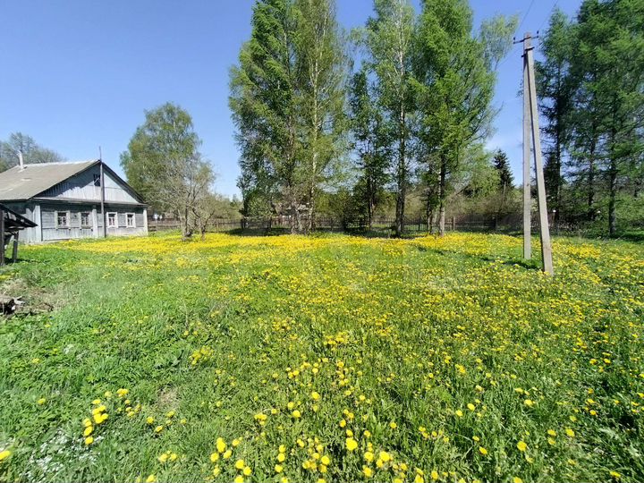 Участок 52 сот. (ИЖС)