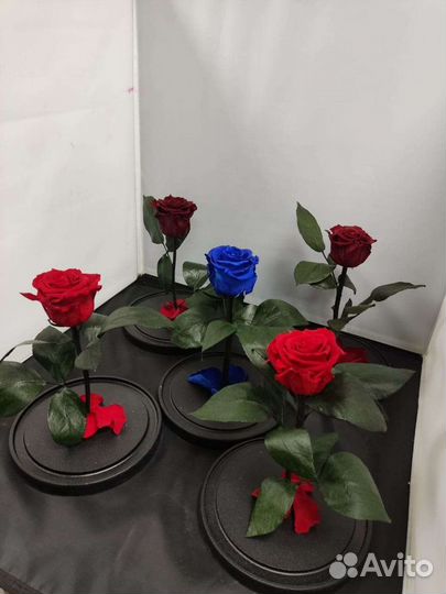 Роза в колбе оптом