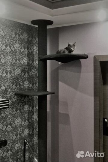 Создание красивой когтеточки от пола до потолка