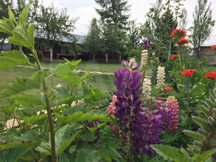 Коттедж 135 м² на участке 18 сот.