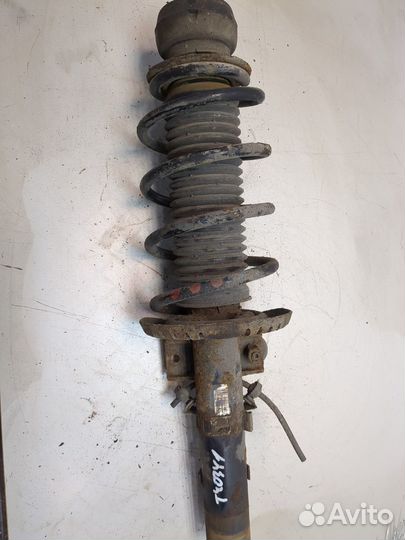 Амортизатор подвески Skoda Fabia, 2012