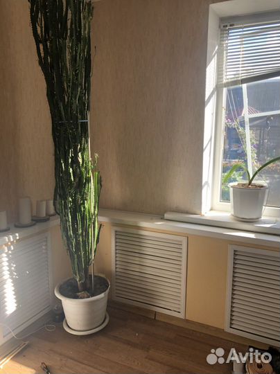 Решетка для батареи, радиатора