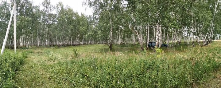 Участок 30 сот. (ИЖС)