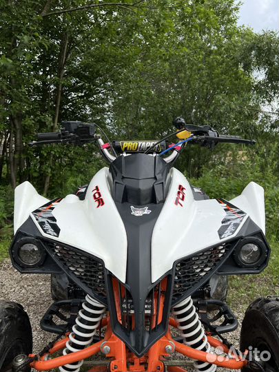 Kayo TOR 250