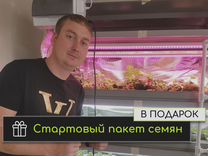 Домашняя ферма Гидропонная установка