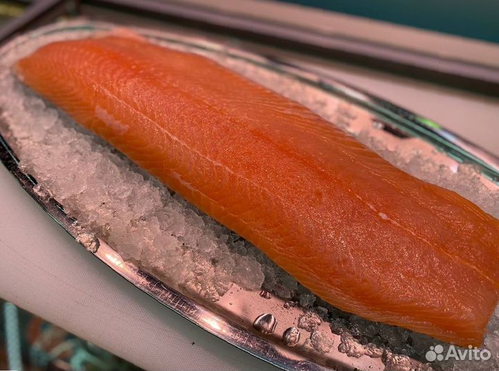 Лосось филе слабосолённый. Оптом