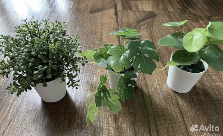 Искусственное растение монстера и Фейки IKEA