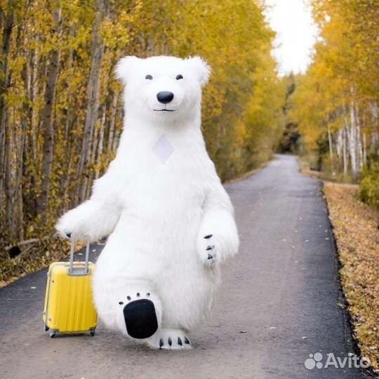 Поздравление от белого медведя